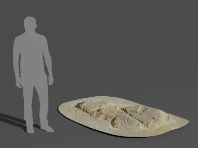  Medium Limpet Covered Beach Rock Model 