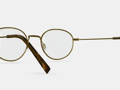 Rafael Eyeglasses in Polished Gold 3D model