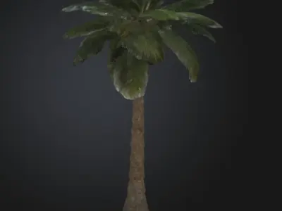 3D printable palm tree model 3D print model