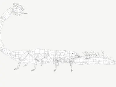 Emperor Scorpion Low-poly 3D model