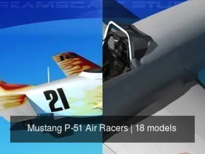 18 Mustang P-51 Air Racers 3D Model Collection