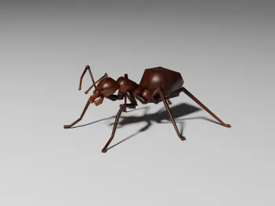 Insects Pack - Low Poly 3D model