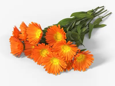 Calendula Flower Bouquet with Leaves Orange Fur 3D model