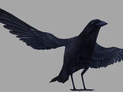 animated low poly crow Low-poly 3D model