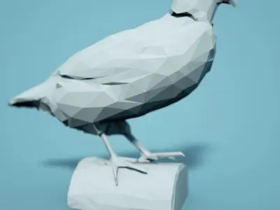 Bird Collection V1 Low Poly Models Low-poly 3D model