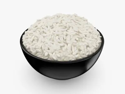 Rice Bowl 3D model