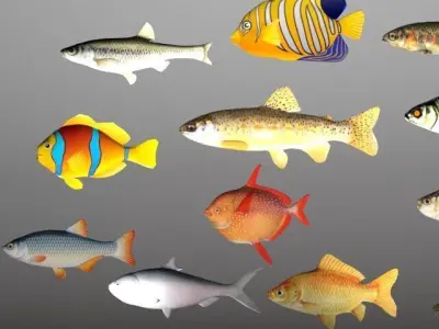 Essential Fish Model Collection Low-poly 3D model