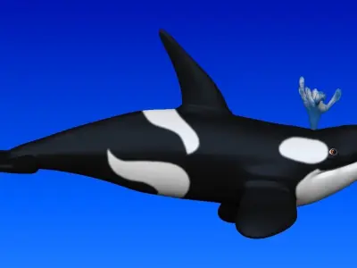 killer whale 3D model