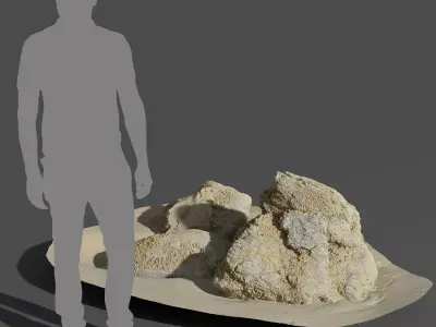  Lichen Covered Beach Rock Cluster Model 