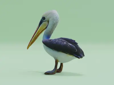 Baby Pelican Cute Low-poly 3D model