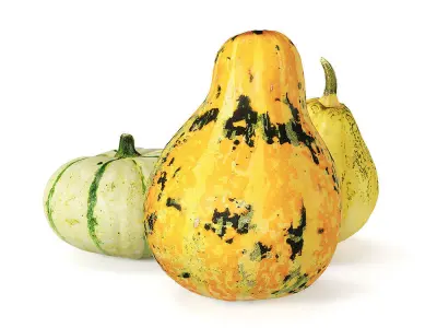 Decorative pumpkins Free 3D model