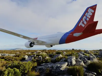 Airplane Airbus  A319 TAM  Low-poly 3D model