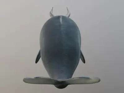 Narwhal with two tusks 3D model