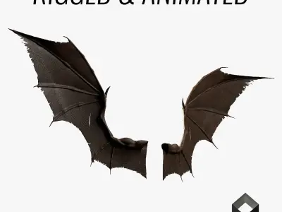 Pair of Bat Wings C4D Low-poly 3D model