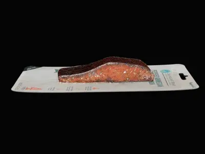 Roasted Salmon 1 3D model