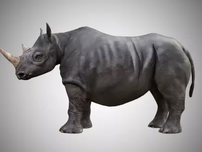 Rhino  Low Poly Rigged with high quality texture Low-poly 3D model
