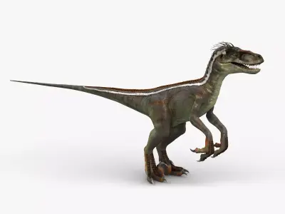 Velociraptor RIGGED 3D model
