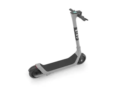 Bird E-step 3D model