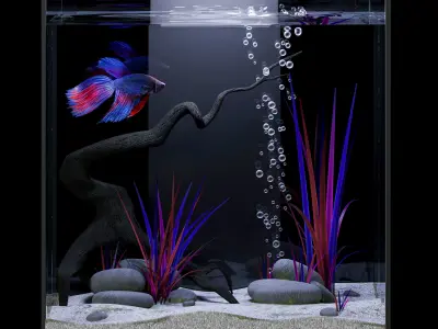 Aquarium with Siamese fighting fish 3D model