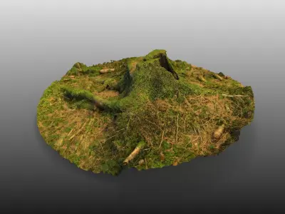 Forest Tree Stump 4K -Part 1- Free low-poly 3D model
