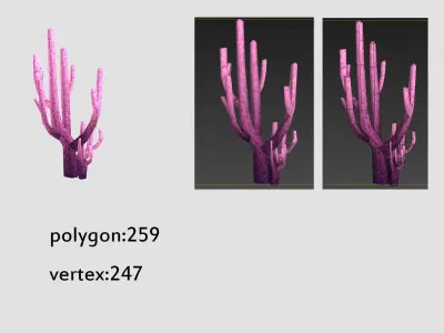 seaweed coral underwater plant aquatic  Low-poly 3D model