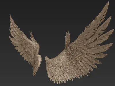 Wings 2 Zbrush Sculpt 3D model