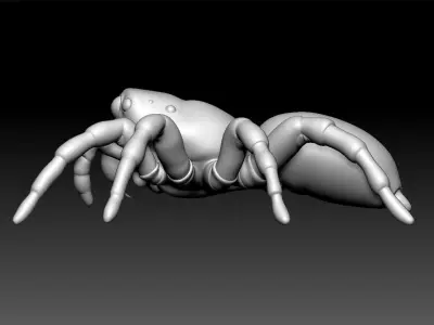 Jumping Spider Low-poly 3D model
