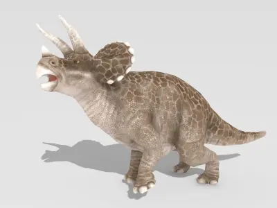 Triceratops Animated Low-poly 3D model