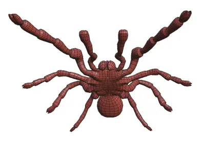 Tarantula low poly spider 3D model