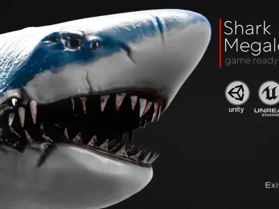 Megalodon Shark Model GameReady Ocean Predator Low poly fish - 7 Low-poly 3D model