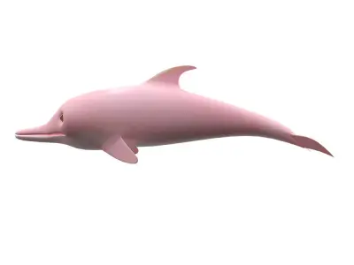 Amazon Pink Dolphin fish Animated  Low-poly 3D model