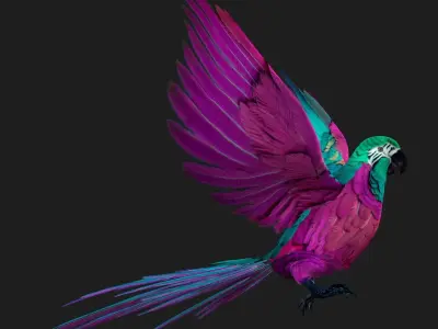 Parrot A3 3D model