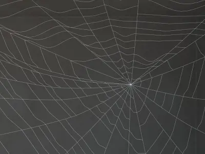 Spiderweb 3 3D model
