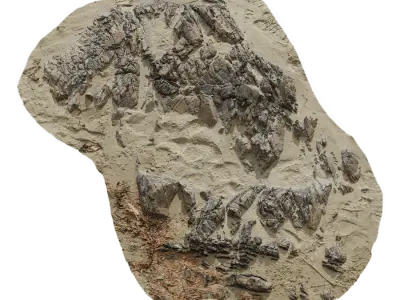  Medium Low Jagged Beach Rock Model 