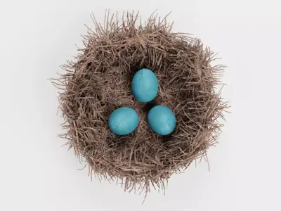 -Nest with Eggs- 3D model