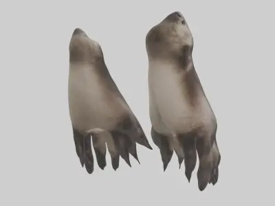Otter Paws Low-poly 3D model