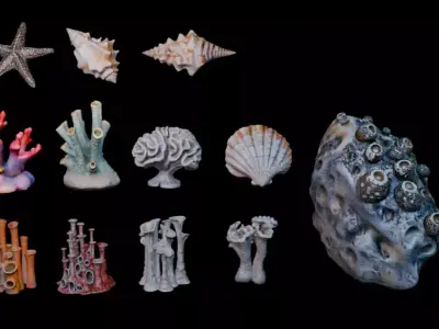 Reef Asset Pack Low-poly 3D model
