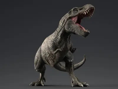 Dinosaur Zhuchengtyrannus Magnus- Ancestor of TRex  58 Anims Low-poly 3D model