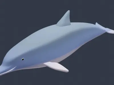 Cute Dolphin Low-poly 3D model