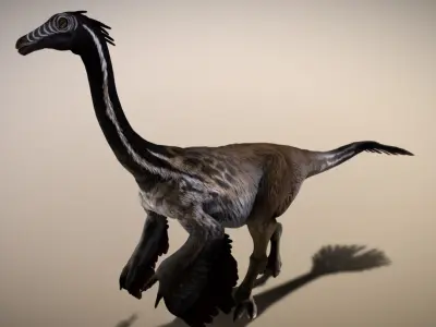 Gallimimus The Ostrich Mimic of the Cretaceous Low-poly 3D model