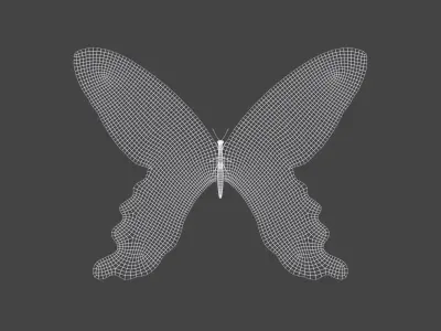 BFLY-008 Butterfly 3D model