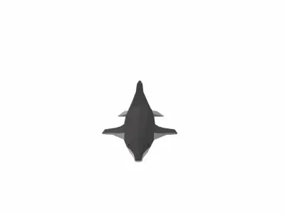 Dolphin Low poly Low-poly 3D model