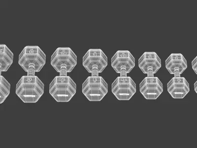 Technogym Hexagon Dumbbell 3D model