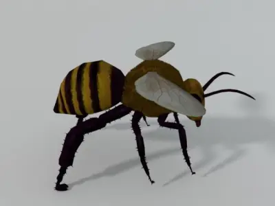 African Bee Low-poly 3D model