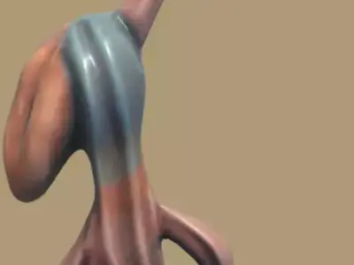 little rizard Free 3D model