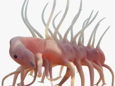 Hallucigenia Low-poly 3D model