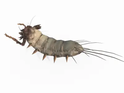 Mythical Warcraft Polypods 3D model