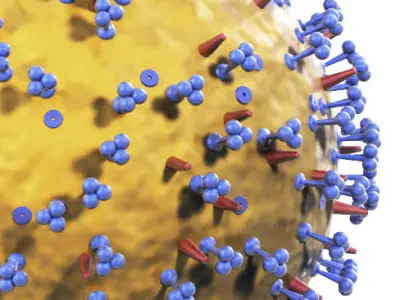 Influenza virus 3D model