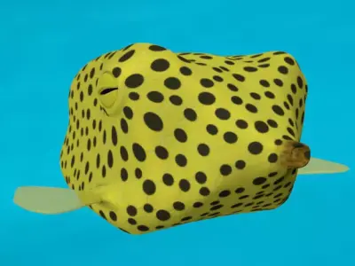 Boxfish yellow low poly Low-poly 3D model