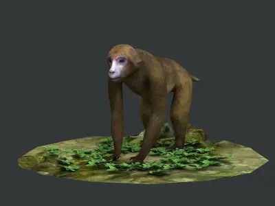 macaque monkey ape chimp africa savannah mammal 3D model